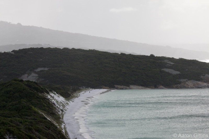 Beach in Albany
