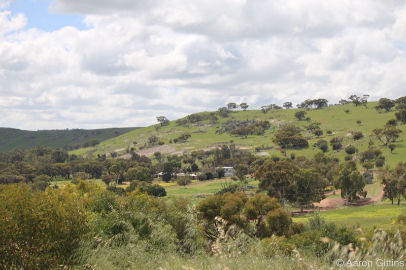 Toodyay